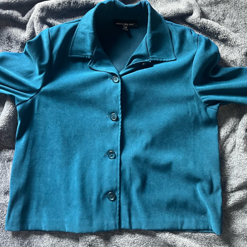Briggs New York petite pm blue button down